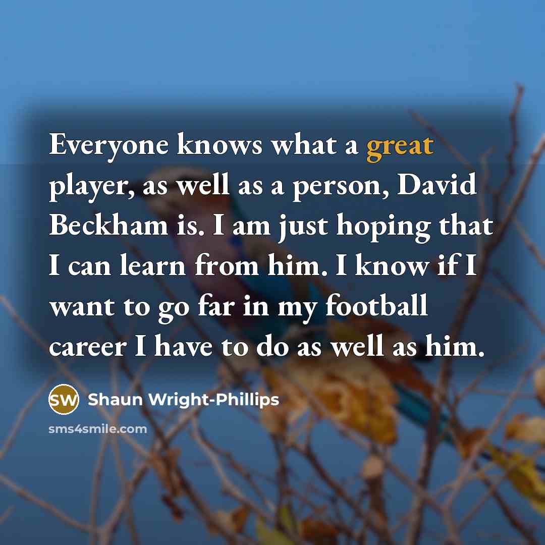 “Everyone knows what a great player, as well as a…” quote by Shaun Wright-Phillips