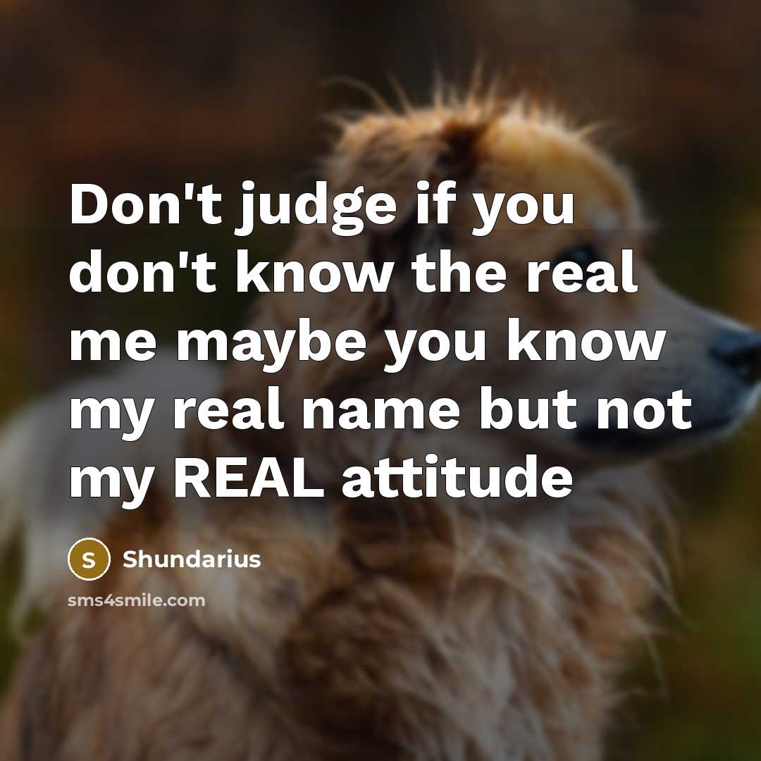 “Don't judge if you don't know the real me maybe you know my real name but not my REAL attitude” quote by Shundarius