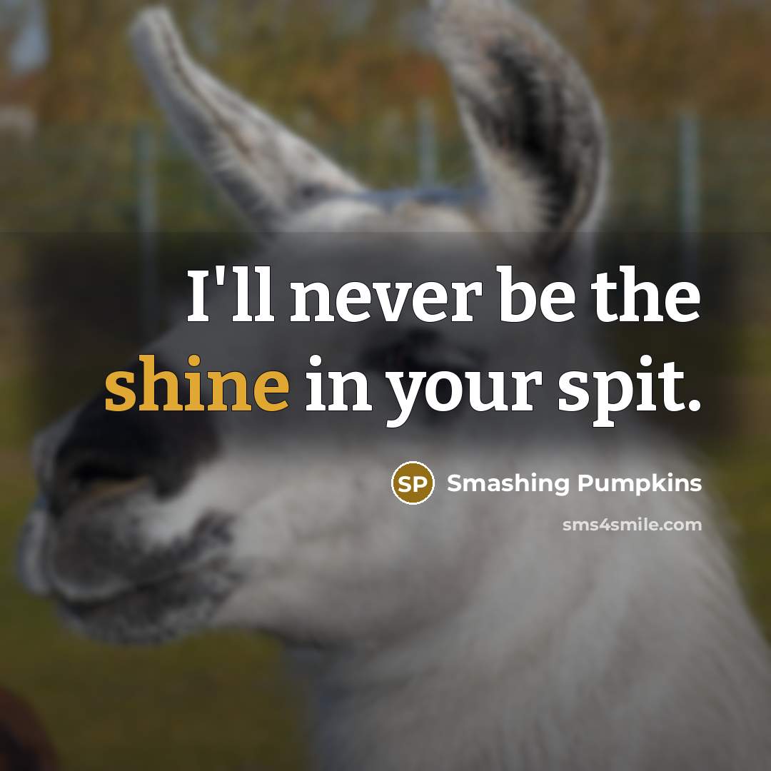 “I'll never be the shine in your spit.…” quote by Smashing Pumpkins
