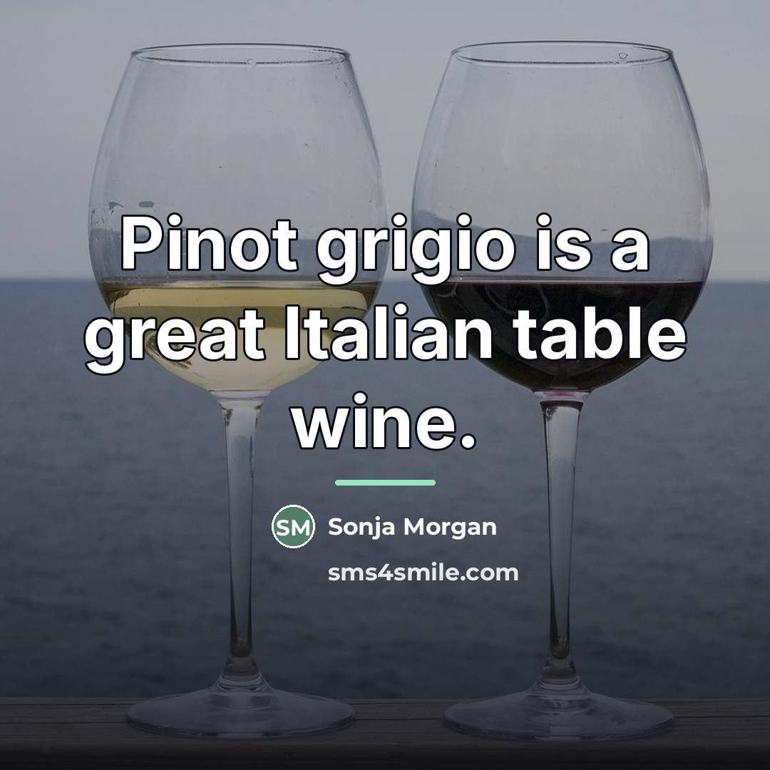 “Pinot grigio is a great Italian table wine.…” quote by Sonja Morgan
