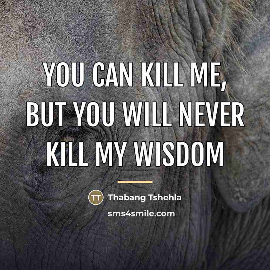 “You can kill me, but you will never kill my…” quote by Thabang Tshehla