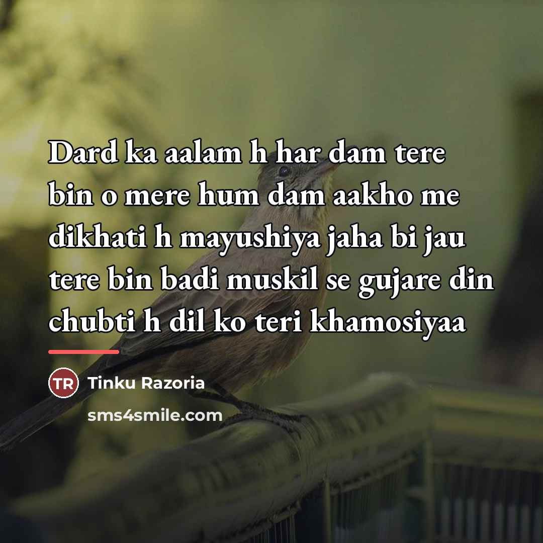 “Dard ka aalam h har dam tere bin o mere…” quote by Tinku Razoria