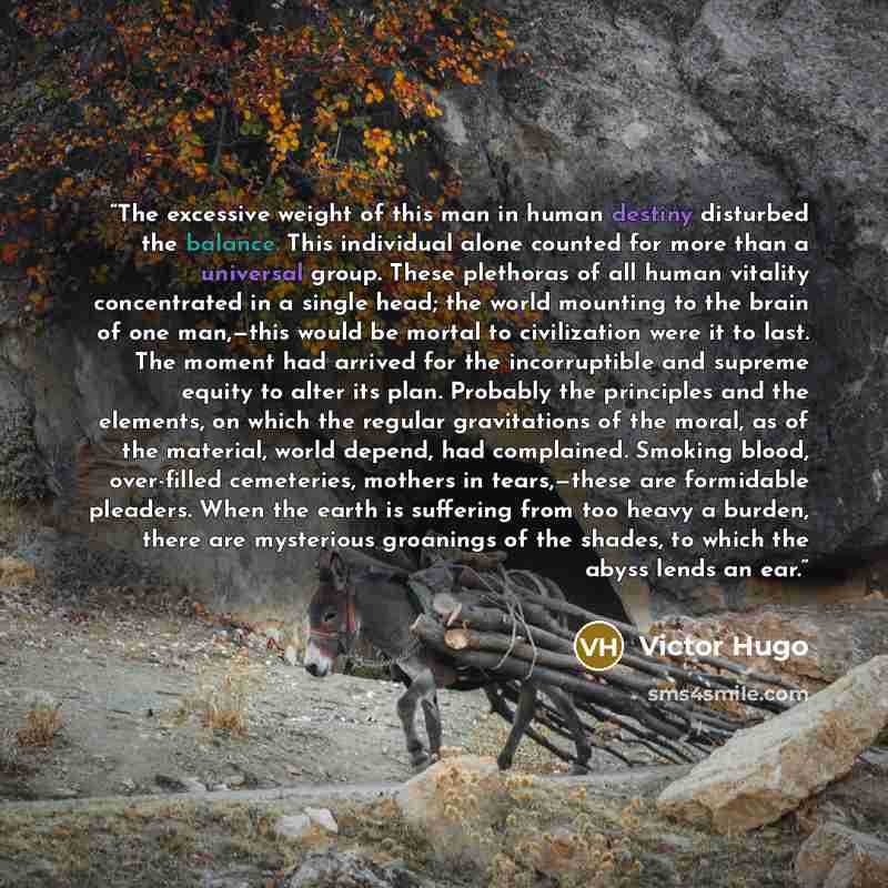 “The excessive weight of this man in human destiny disturbed the balance. This individual alone counted for more than a universal group. These plethoras of all human vitality concentrated in a single head; the world mounting to the brain of one man,—this would be mortal to civilization were it to…” quote by Victor Hugo