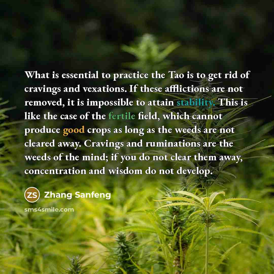 “What is essential to practice the Tao is to get rid of cravings and vexations. If these afflictions are not removed, it is impossible to attain stability. This is like the case of the fertile field, which cannot produce good crops as long as the weeds are not cleared away. Cravings and ruminations…” quote by Zhang Sanfeng