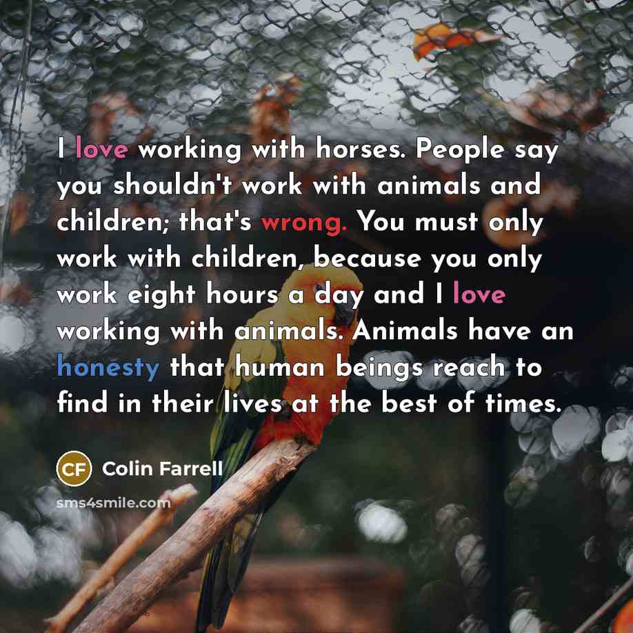 “I love working with horses. People say you shouldn't work…” quote by Colin Farrell
