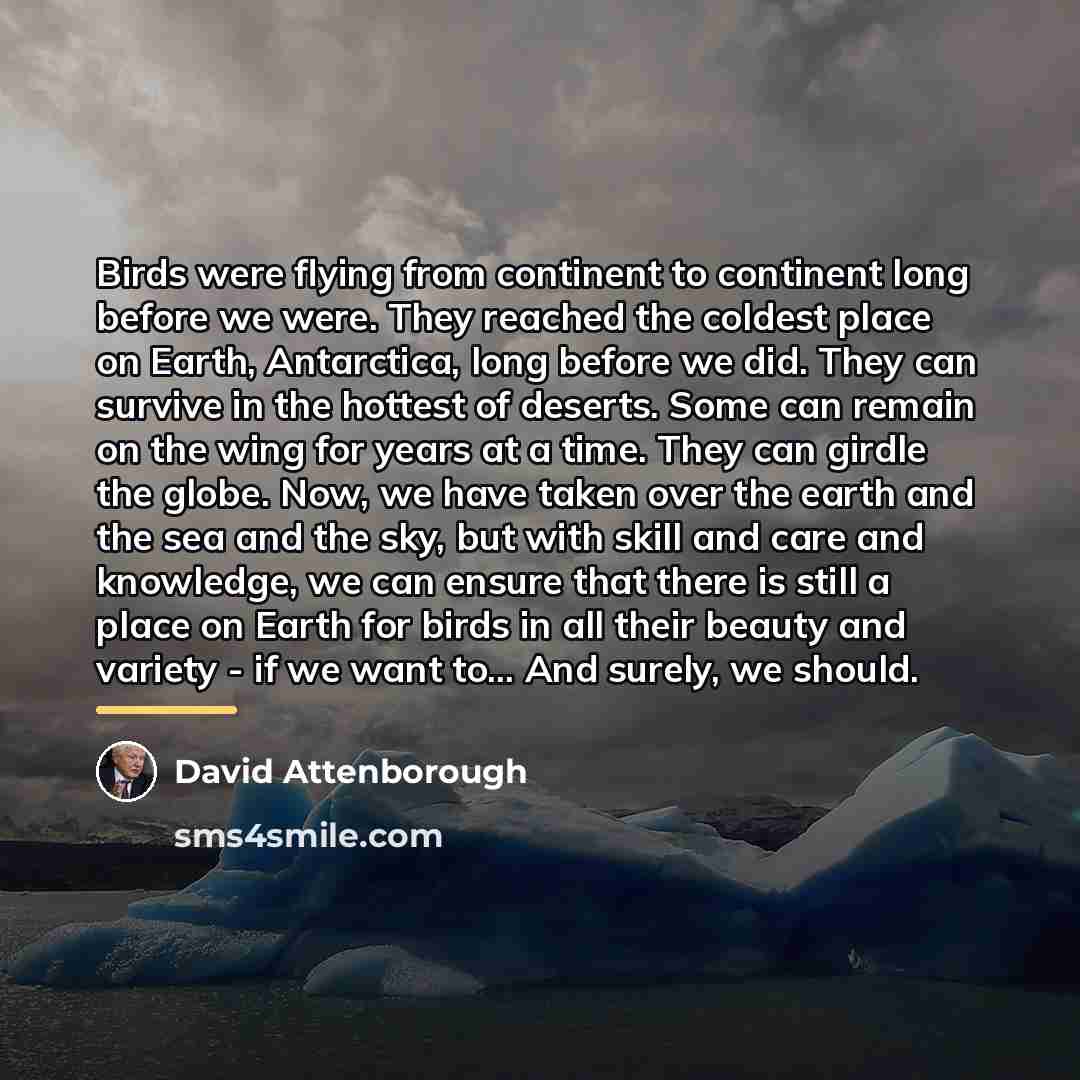 “Birds were flying from continent to continent long before we…” quote by David Attenborough