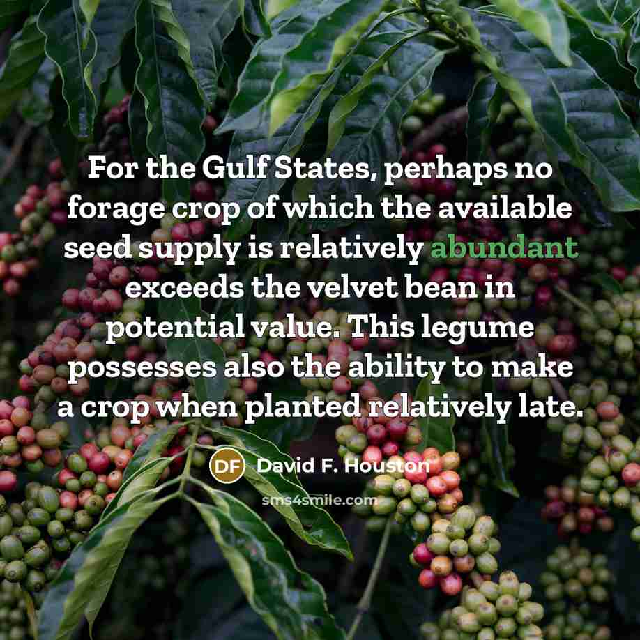 “For the Gulf States, perhaps no forage crop of which…” quote by David F. Houston