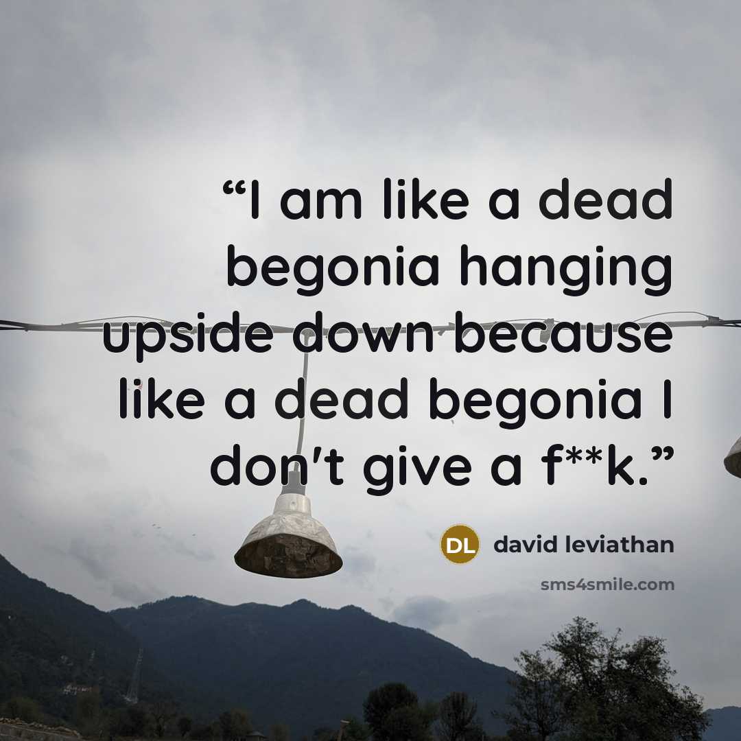 “I am like a dead begonia hanging upside down because like a dead begonia I don't give a f**k.” quote by David Leviathan