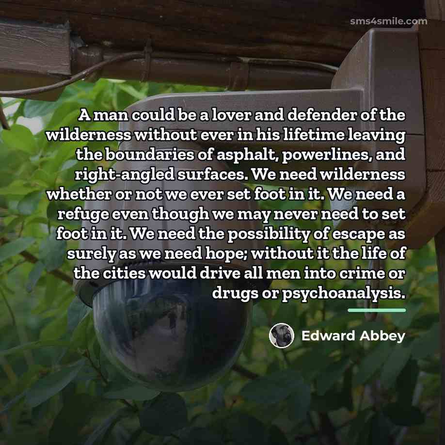 “A man could be a lover and defender of the…” quote by Edward Abbey