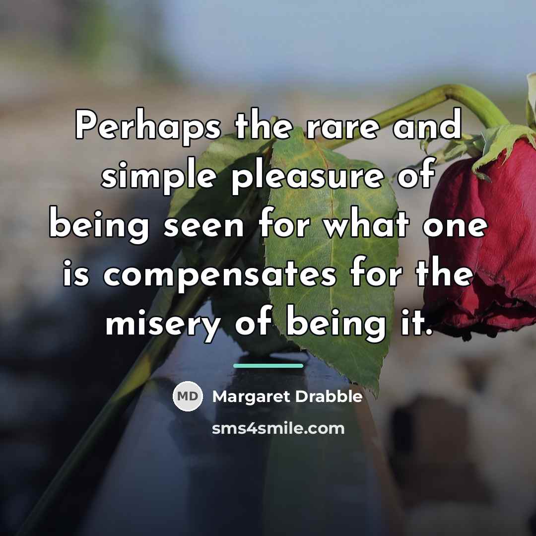 “Perhaps the rare and simple pleasure of being seen for…” quote by Margaret Drabble
