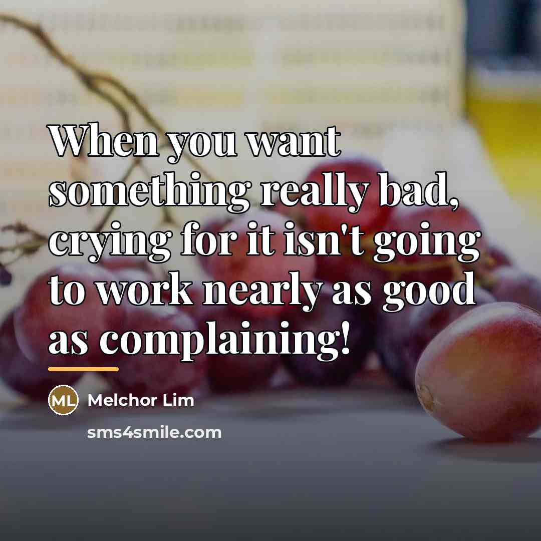 “When you want something really bad, crying for it isn't…” quote by Melchor Lim