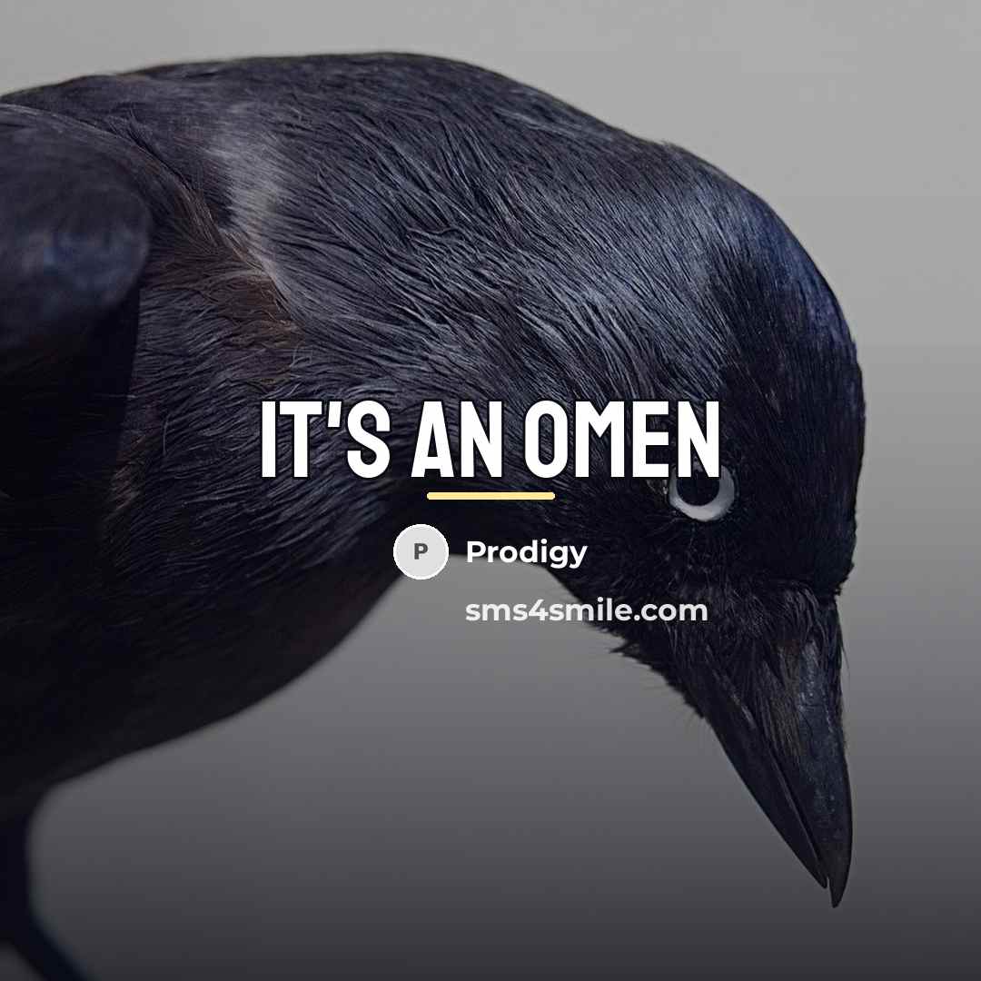 “It's an omen…” quote by Prodigy