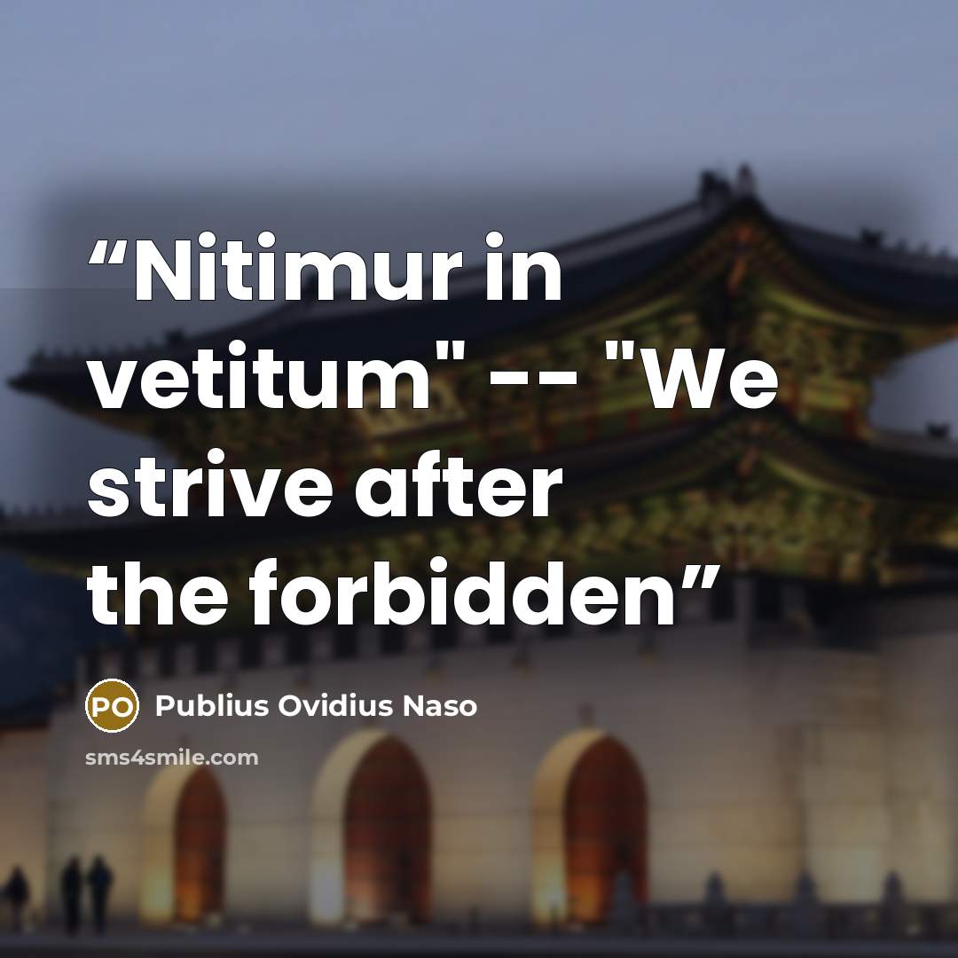 “Nitimur in vetitum" -- "We strive after the forbidden” quote by Publius Ovidius Naso