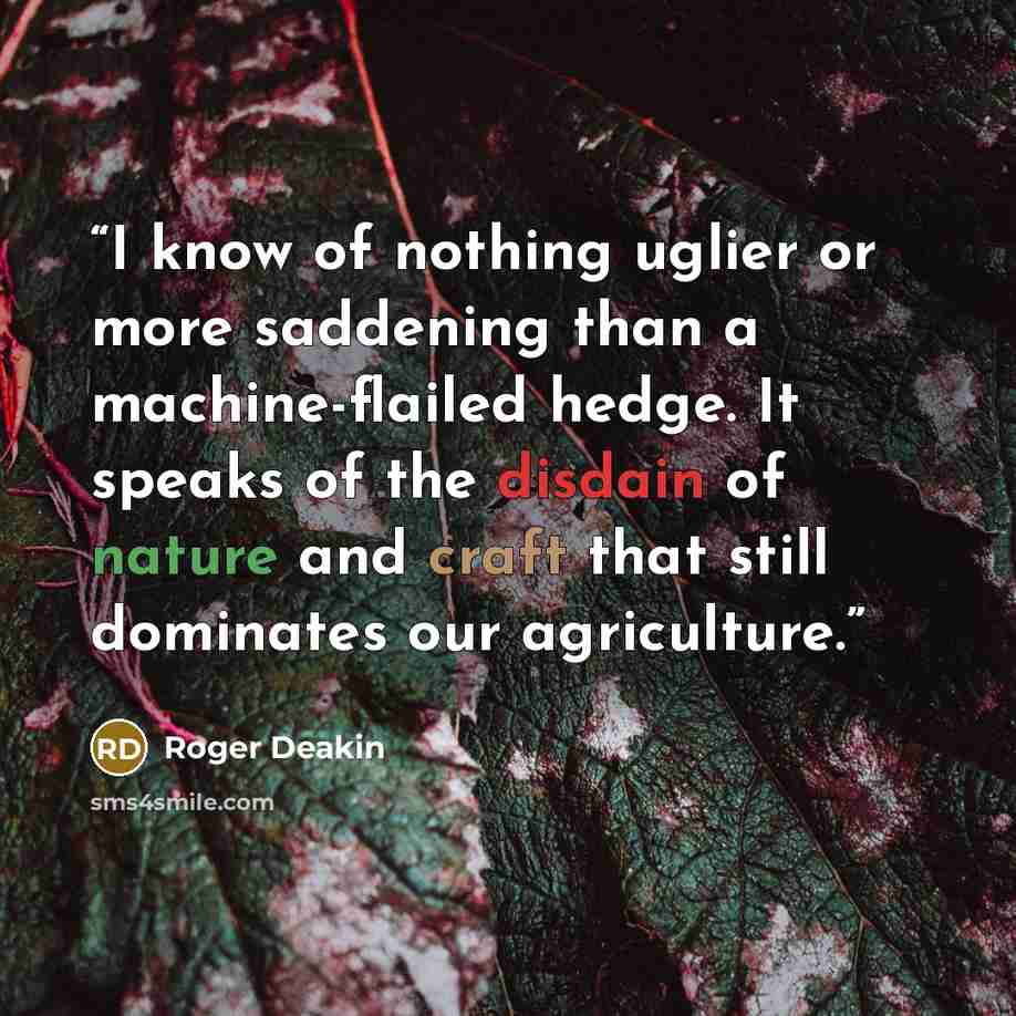 “I know of nothing uglier or more saddening than a machine-flailed hedge. It speaks of the disdain of nature and craft that still dominates our agriculture.” quote by Roger Deakin