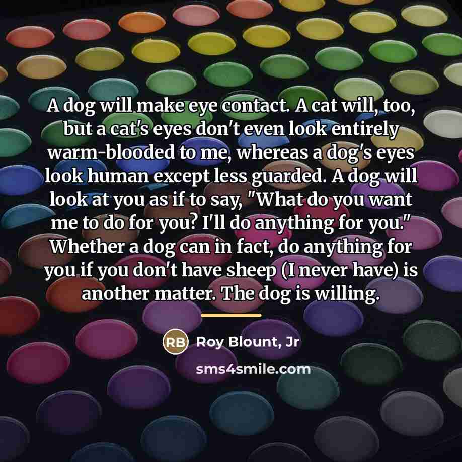 “A dog will make eye contact. A cat will, too,…” quote by Roy Blount, Jr