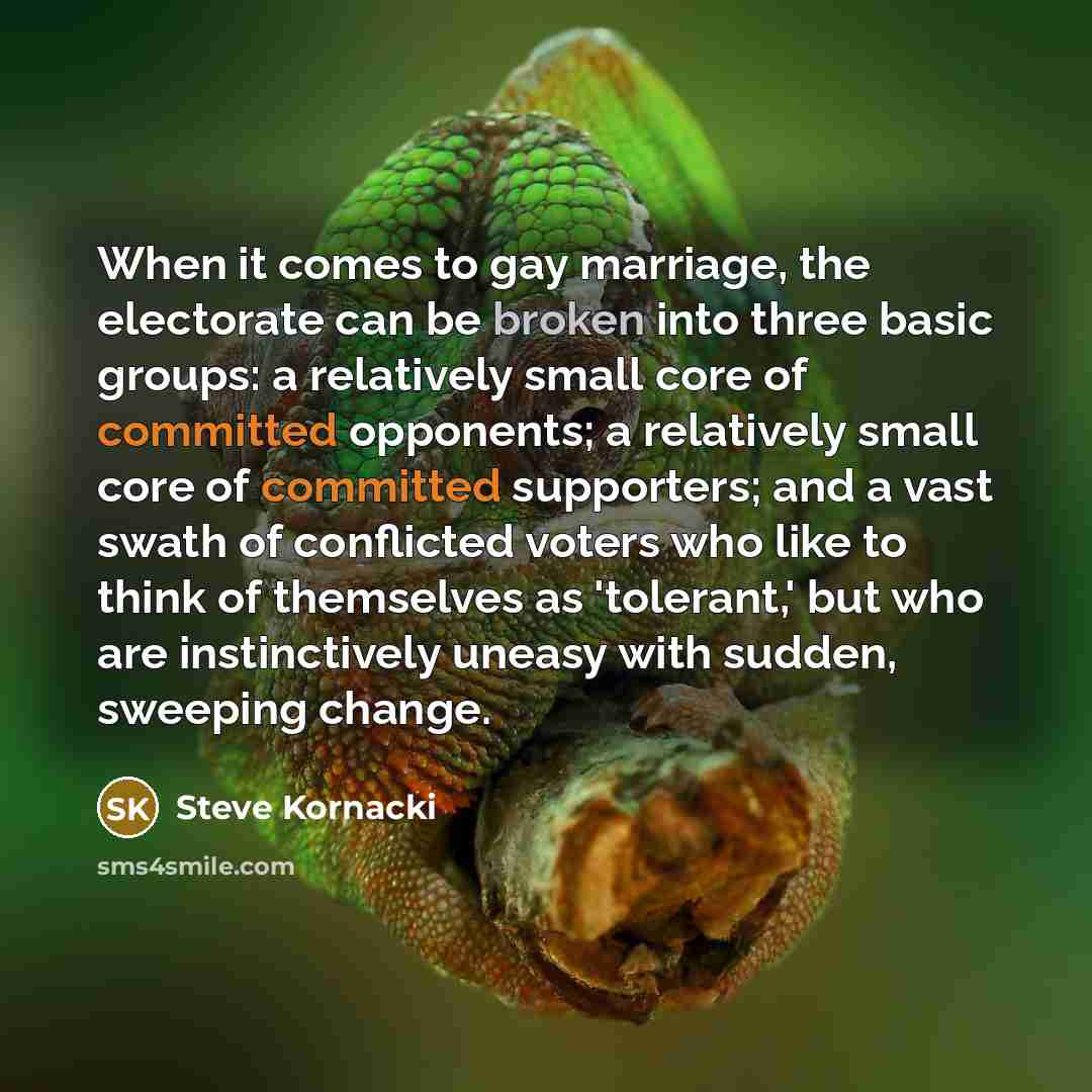 “When it comes to gay marriage, the electorate can be…” quote by Steve Kornacki