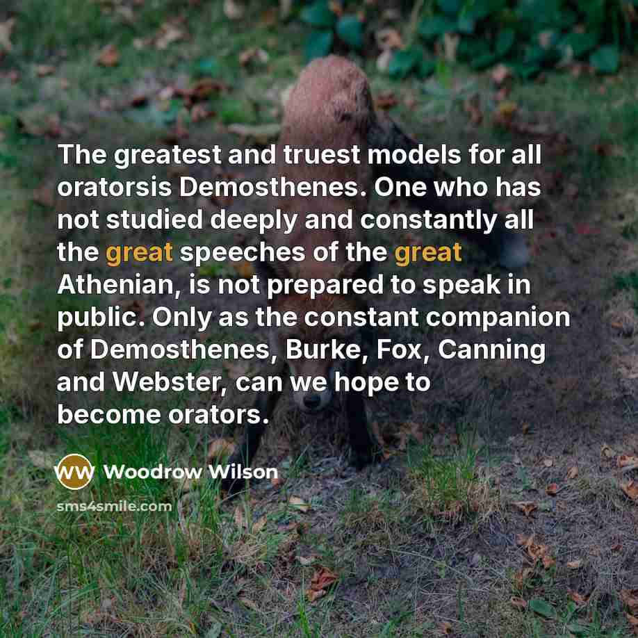“The greatest and truest models for all oratorsis Demosthenes. One…” quote by Woodrow Wilson