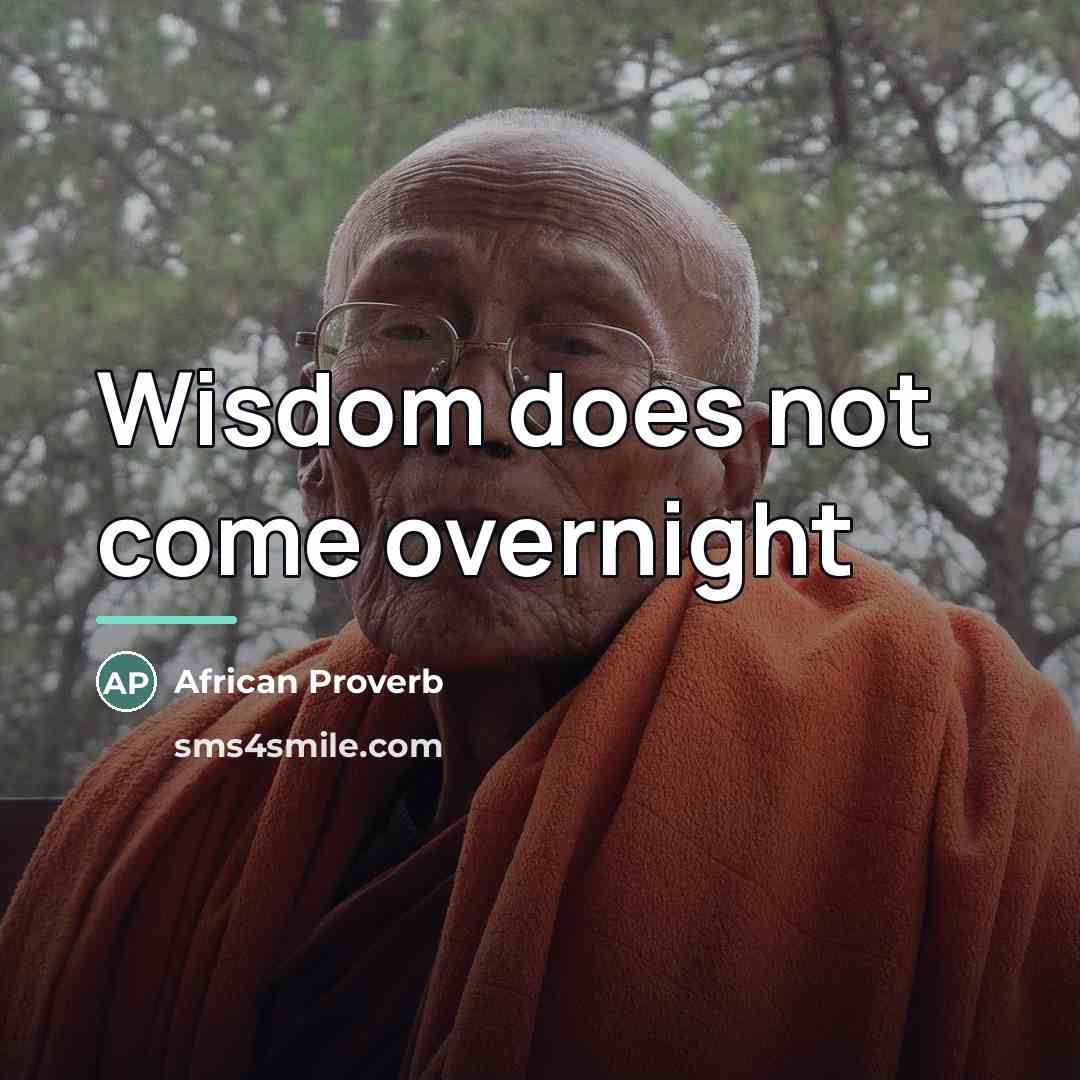 “Wisdom does not come overnight…” quote by African Proverb