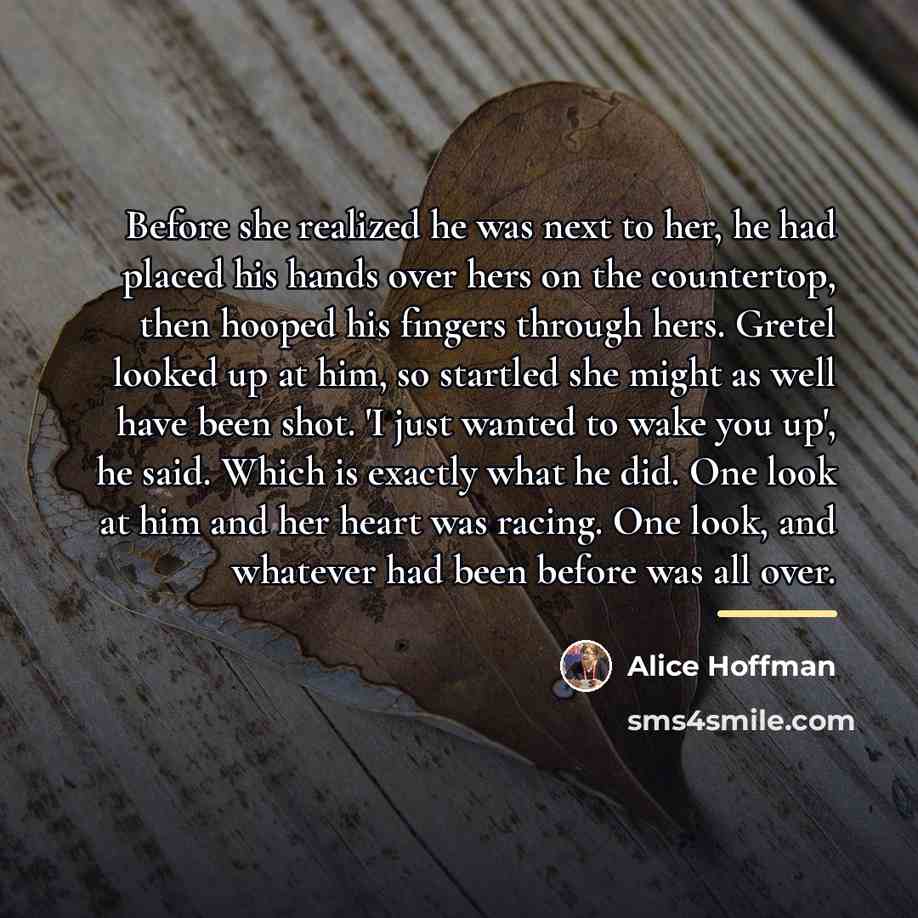 “Before she realized he was next to her, he had…” quote by Alice Hoffman