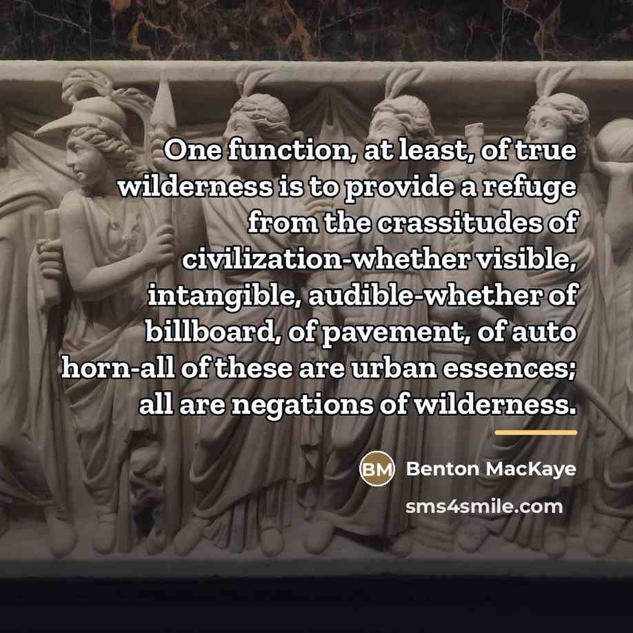 “One function, at least, of true wilderness is to provide…” quote by Benton MacKaye