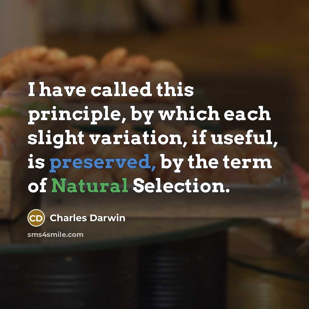“I have called this principle, by which each slight variation, if useful, is preserved, by the term of Natural Selection.” quote by Charles Darwin