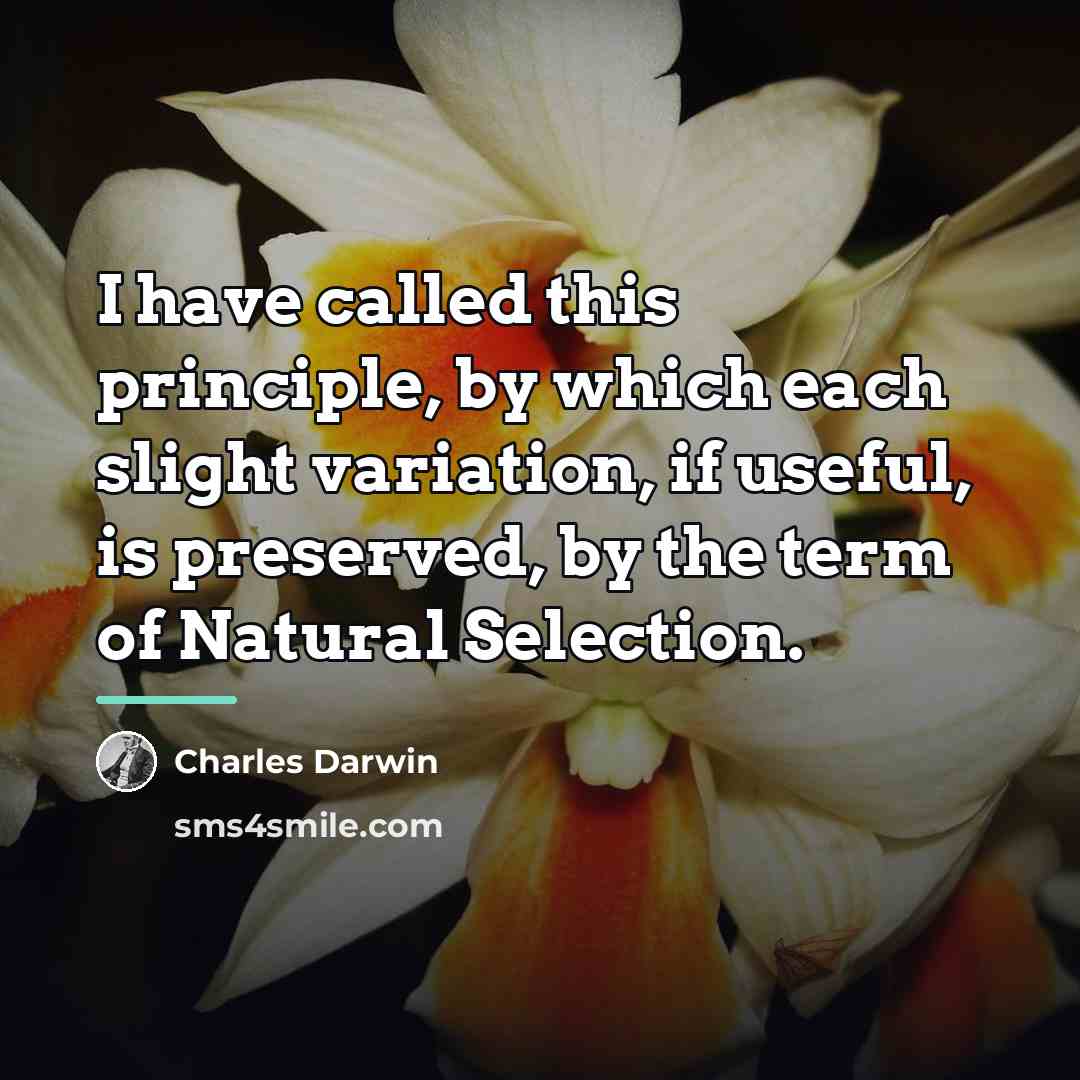 “I have called this principle, by which each slight variation,…” quote by Charles Darwin