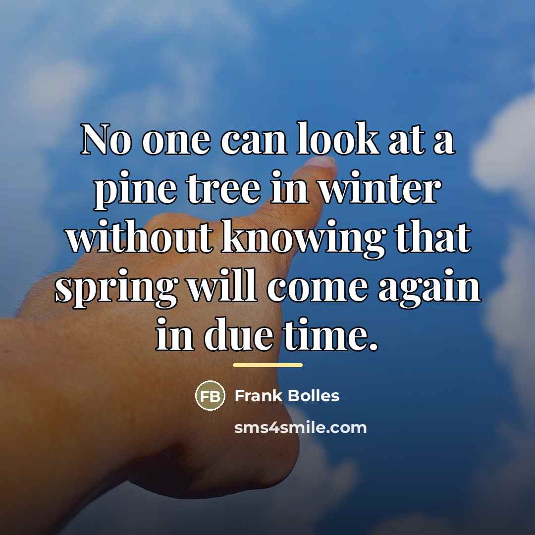 “No one can look at a pine tree in winter…” quote by Frank Bolles