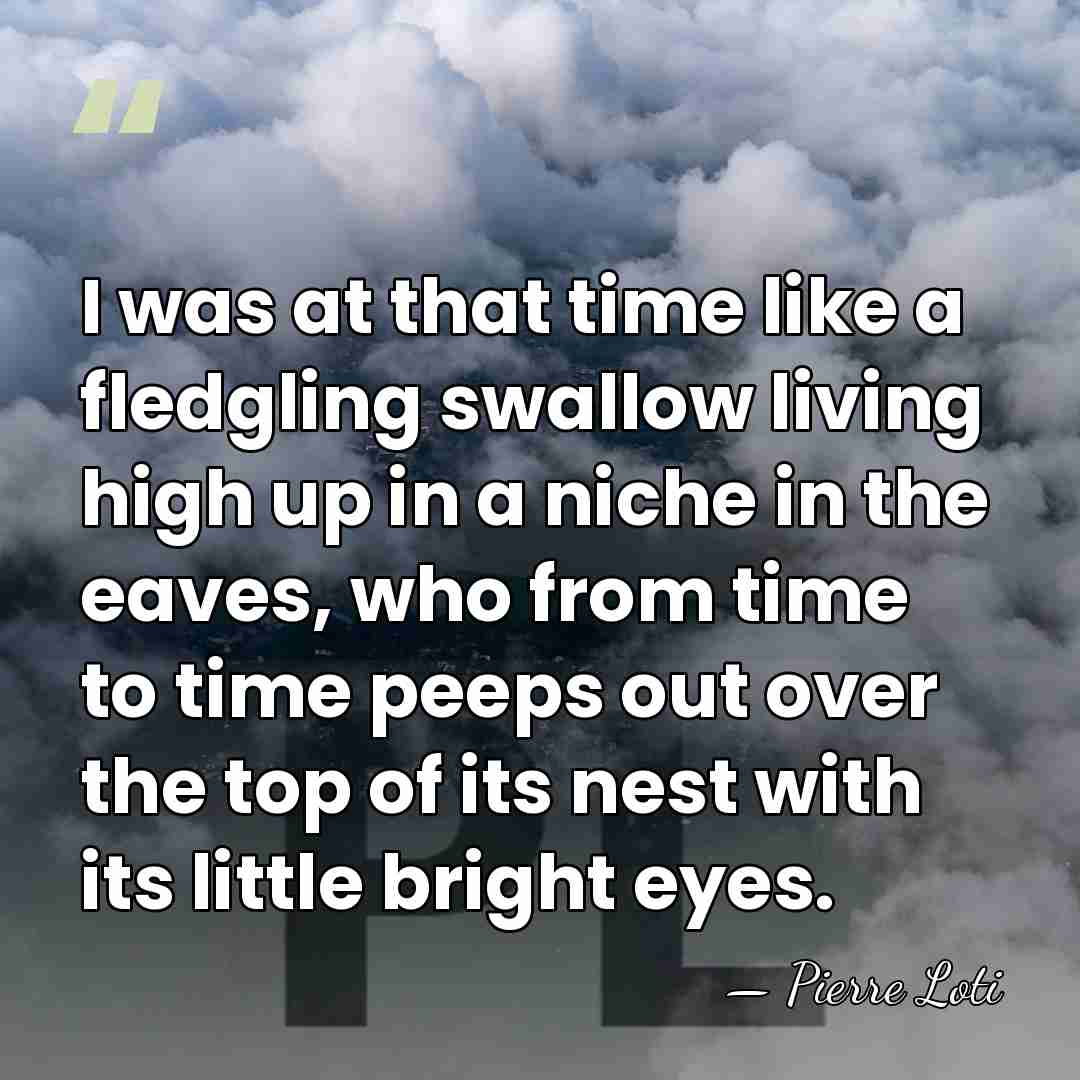 I was at that time like a fledgling swallow living high up&hellip; - Pierre Loti