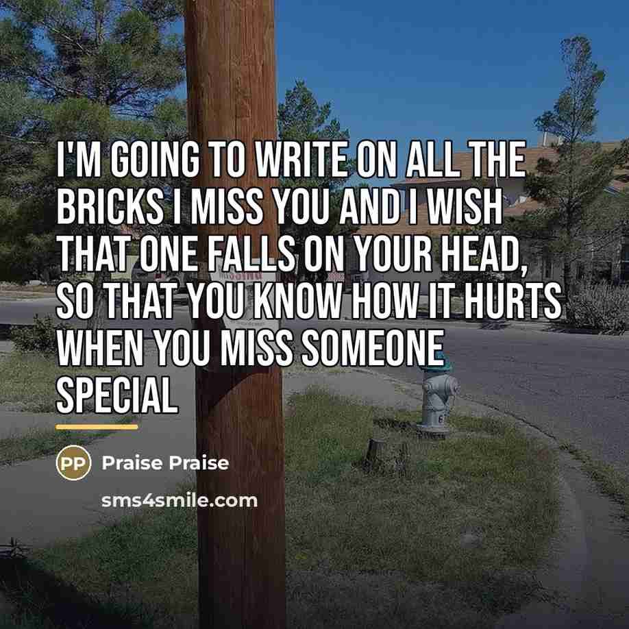 “I'm going to write on all the bricks I MISS…” quote by Praise Praise