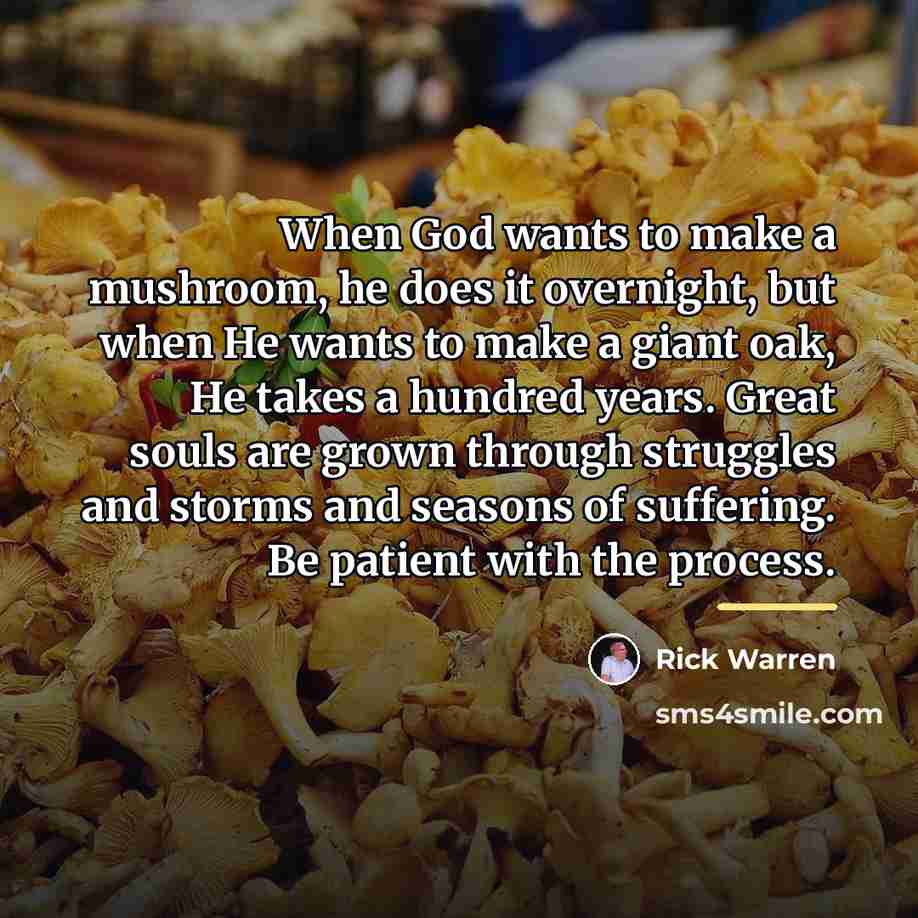 “When God wants to make a mushroom, he does it…” quote by Rick Warren