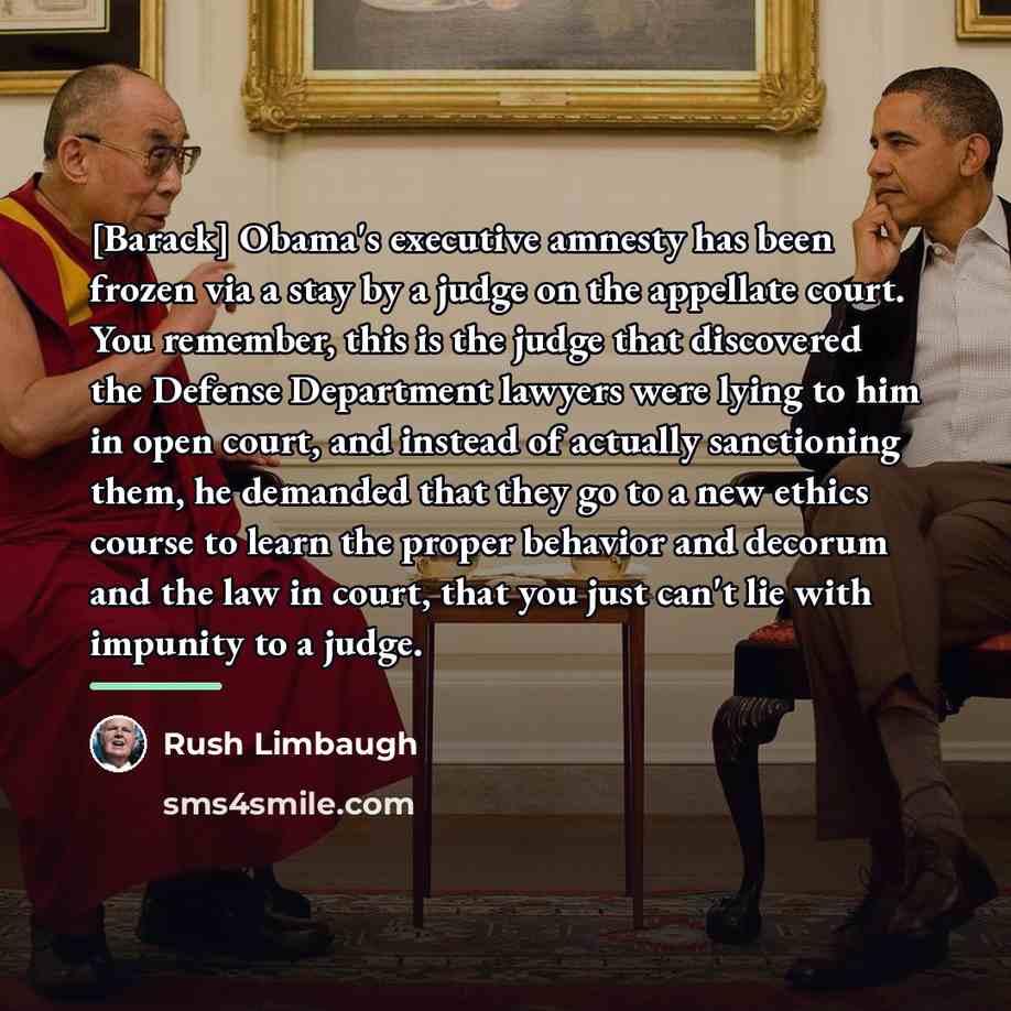 “[Barack] Obama's executive amnesty has been frozen via a stay…” quote by Rush Limbaugh
