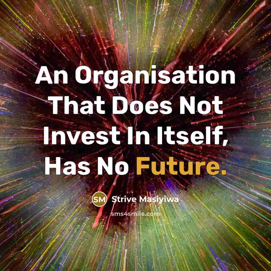 “An Organisation That Does Not Invest In Itself, Has No…” quote by Strive Masiyiwa