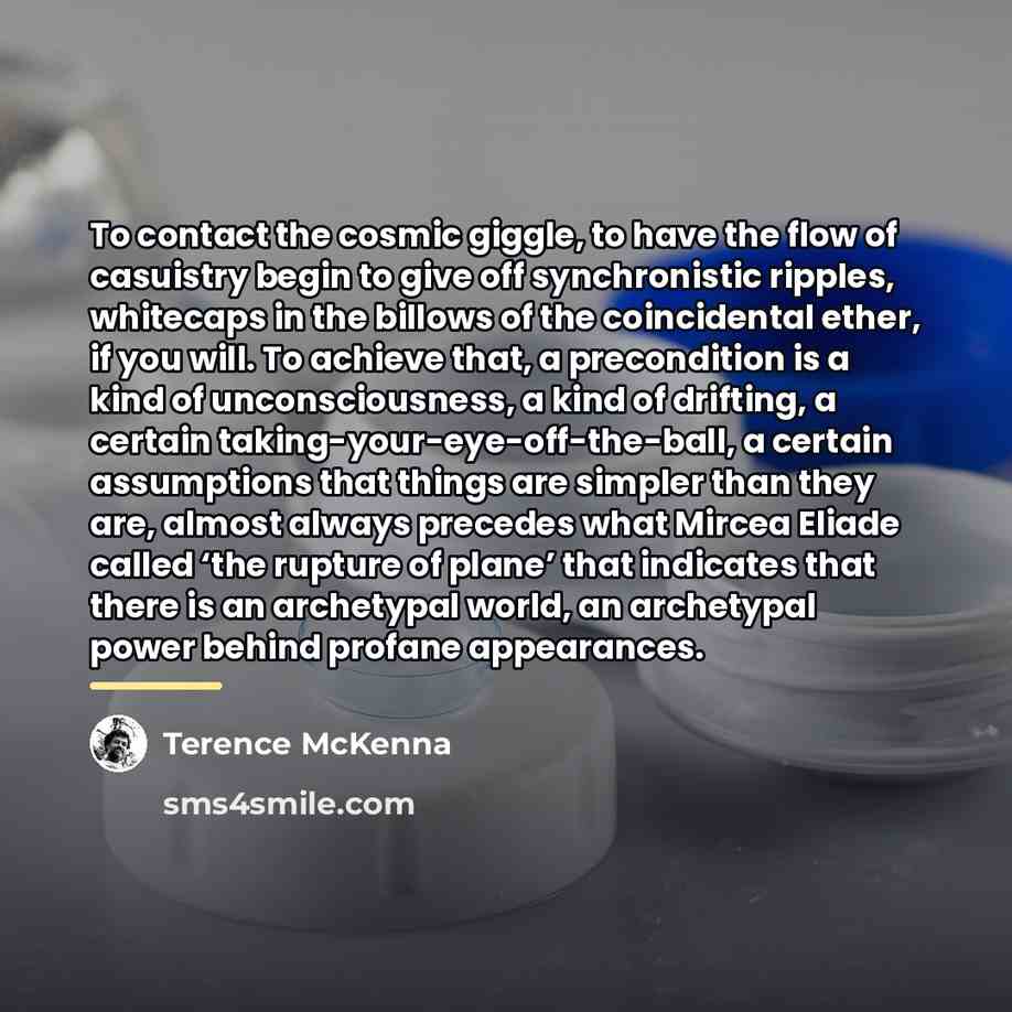 “To contact the cosmic giggle, to have the flow of…” quote by Terence McKenna