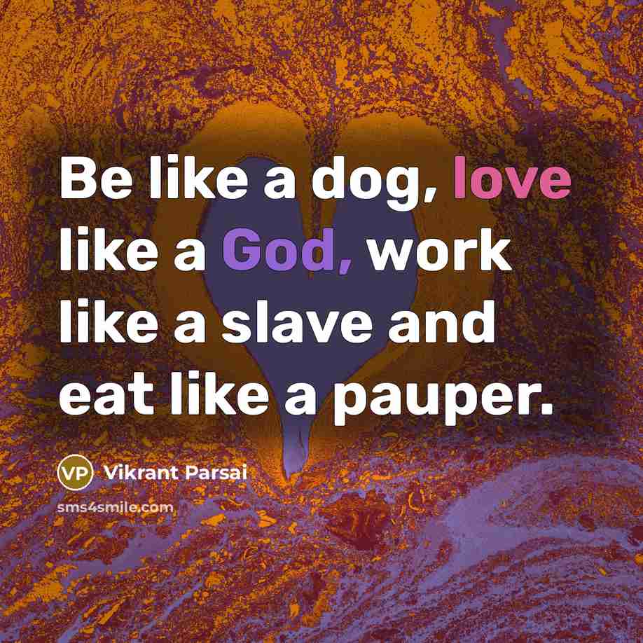 “Be like a dog, love like a God, work like…” quote by Vikrant Parsai