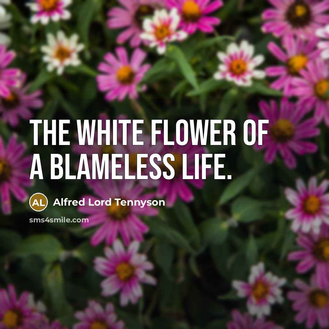 “The white flower of a blameless life.…” quote by Alfred Lord Tennyson