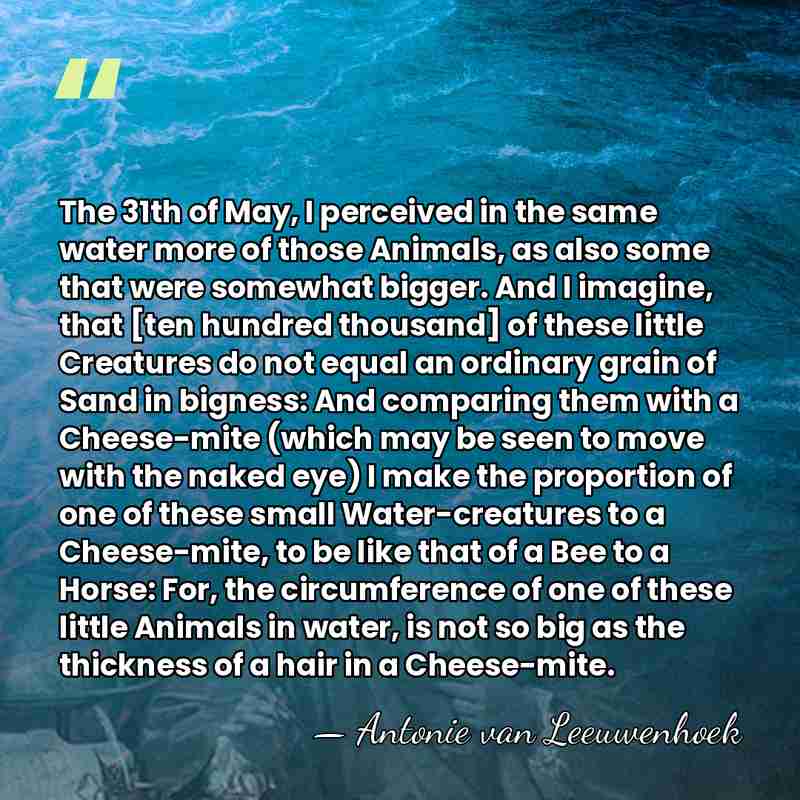 The 31th of May, I perceived in the same water more of&hellip; - Antonie van Leeuwenhoek