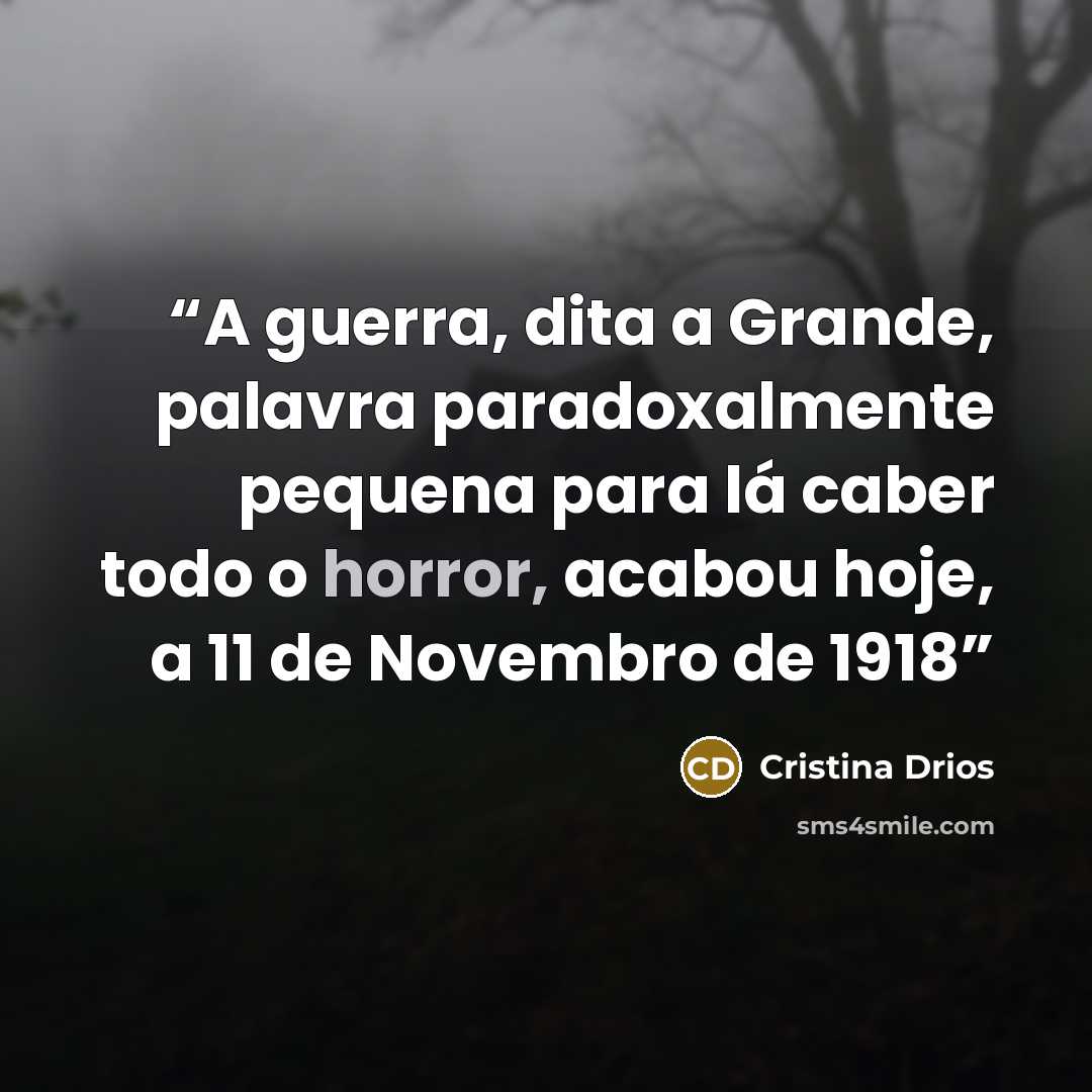 “A guerra, dita a Grande, palavra paradoxalmente pequena para lá caber todo o horror, acabou hoje, a 11 de Novembro de 1918” quote by Cristina Drios