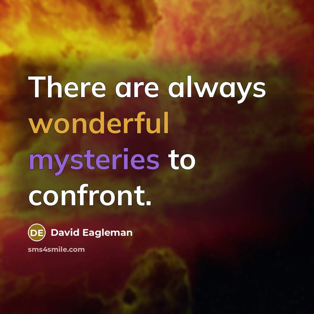 “There are always wonderful mysteries to confront.” quote by David Eagleman