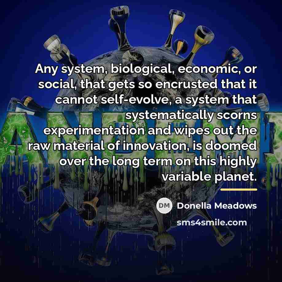 “Any system, biological, economic, or social, that gets so encrusted…” quote by Donella Meadows
