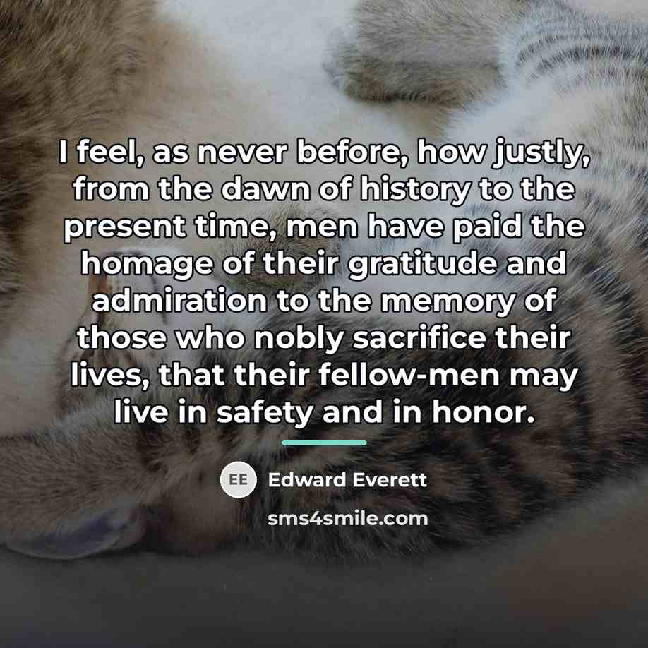 “I feel, as never before, how justly, from the dawn…” quote by Edward Everett