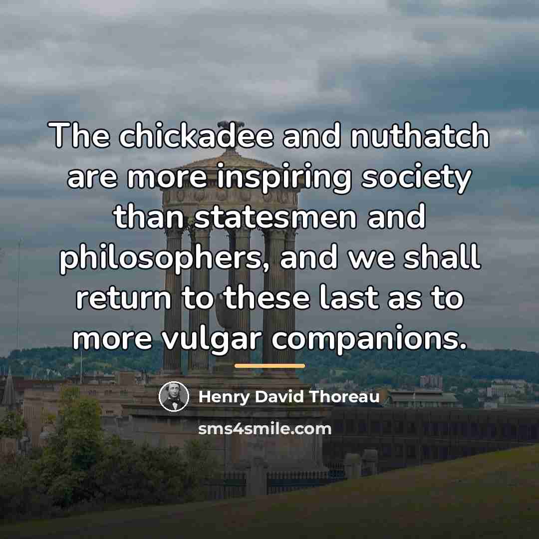 “The chickadee and nuthatch are more inspiring society than statesmen…” quote by Henry David Thoreau