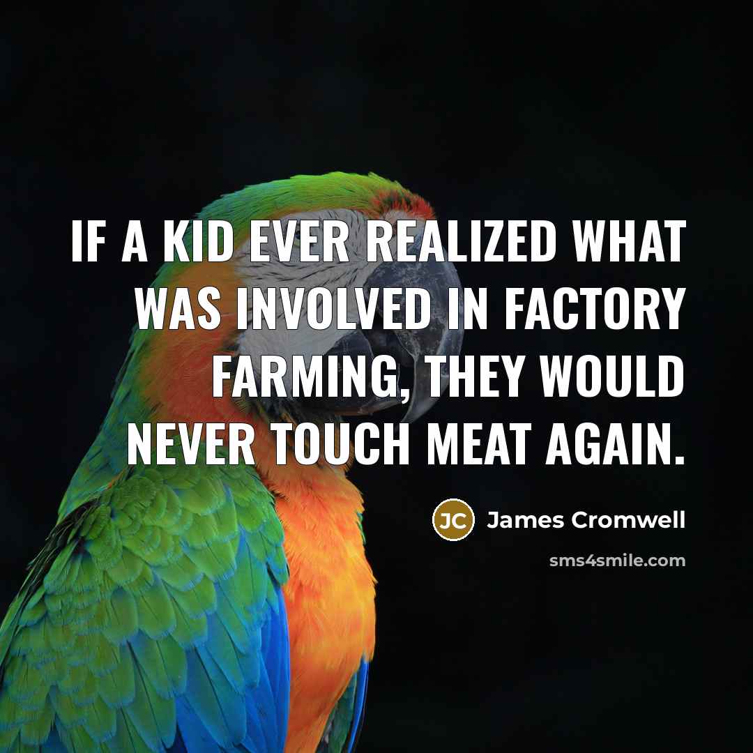 “If a kid ever realized what was involved in factory…” quote by James Cromwell