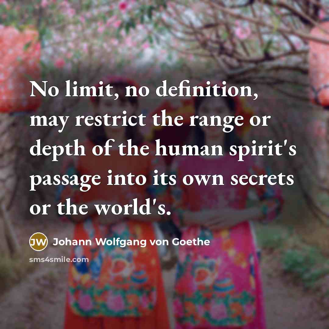 “No limit, no definition, may restrict the range or depth…” quote by Johann Wolfgang von Goethe