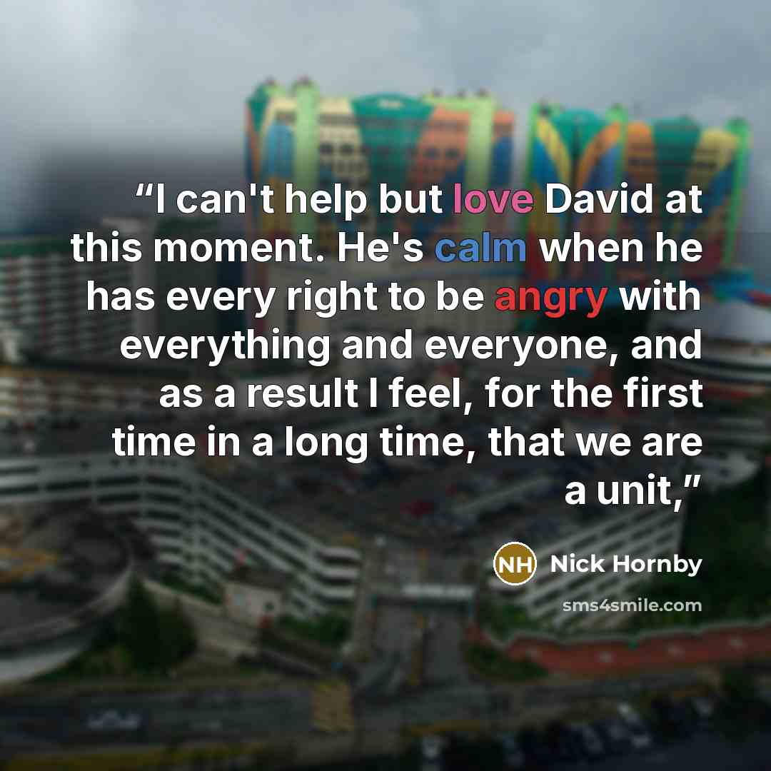 “I can't help but love David at this moment. He's calm when he has every right to be angry with everything and everyone, and as a result I feel, for the first time in a long time, that we are a unit,” quote by Nick Hornby