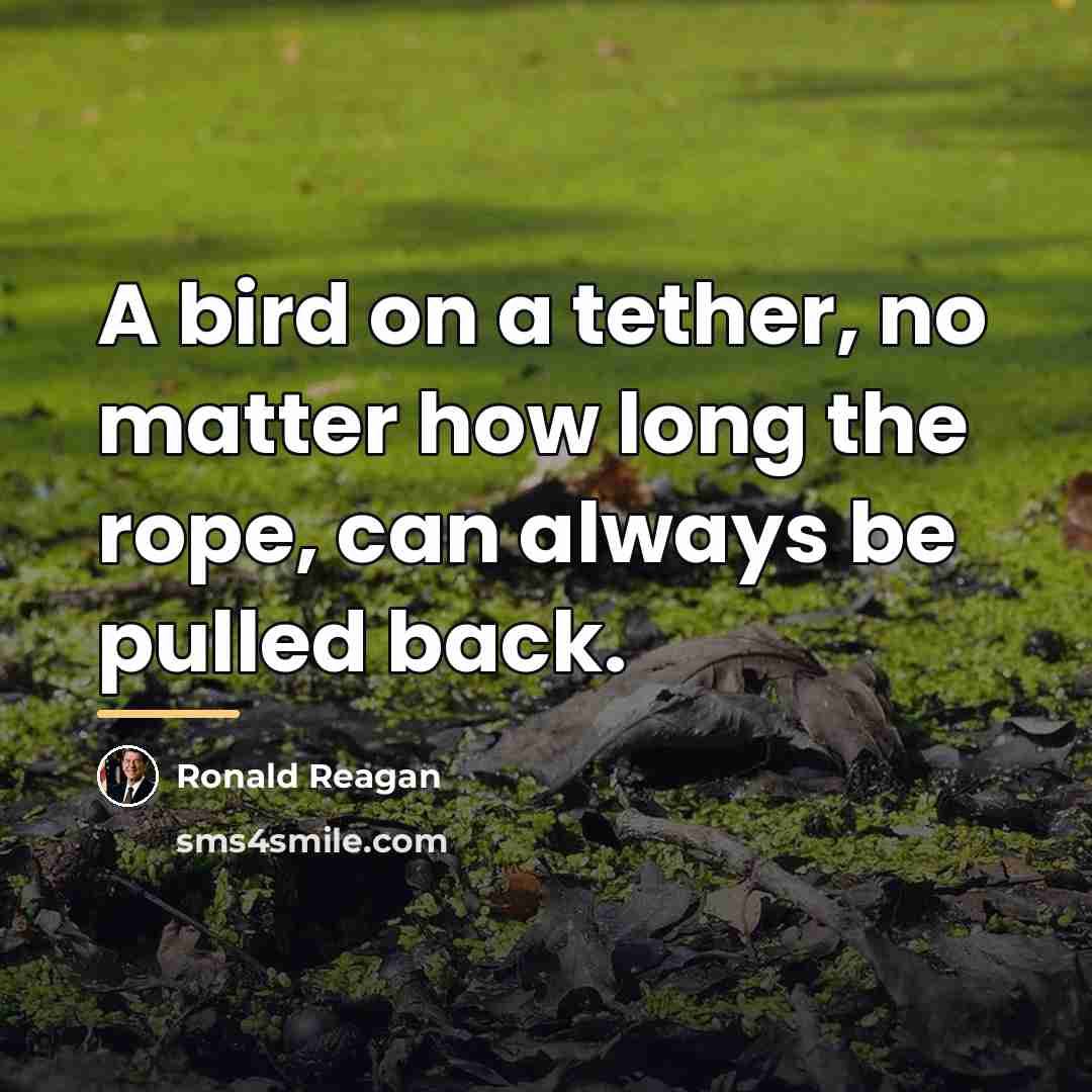 “A bird on a tether, no matter how long the…” quote by Ronald Reagan