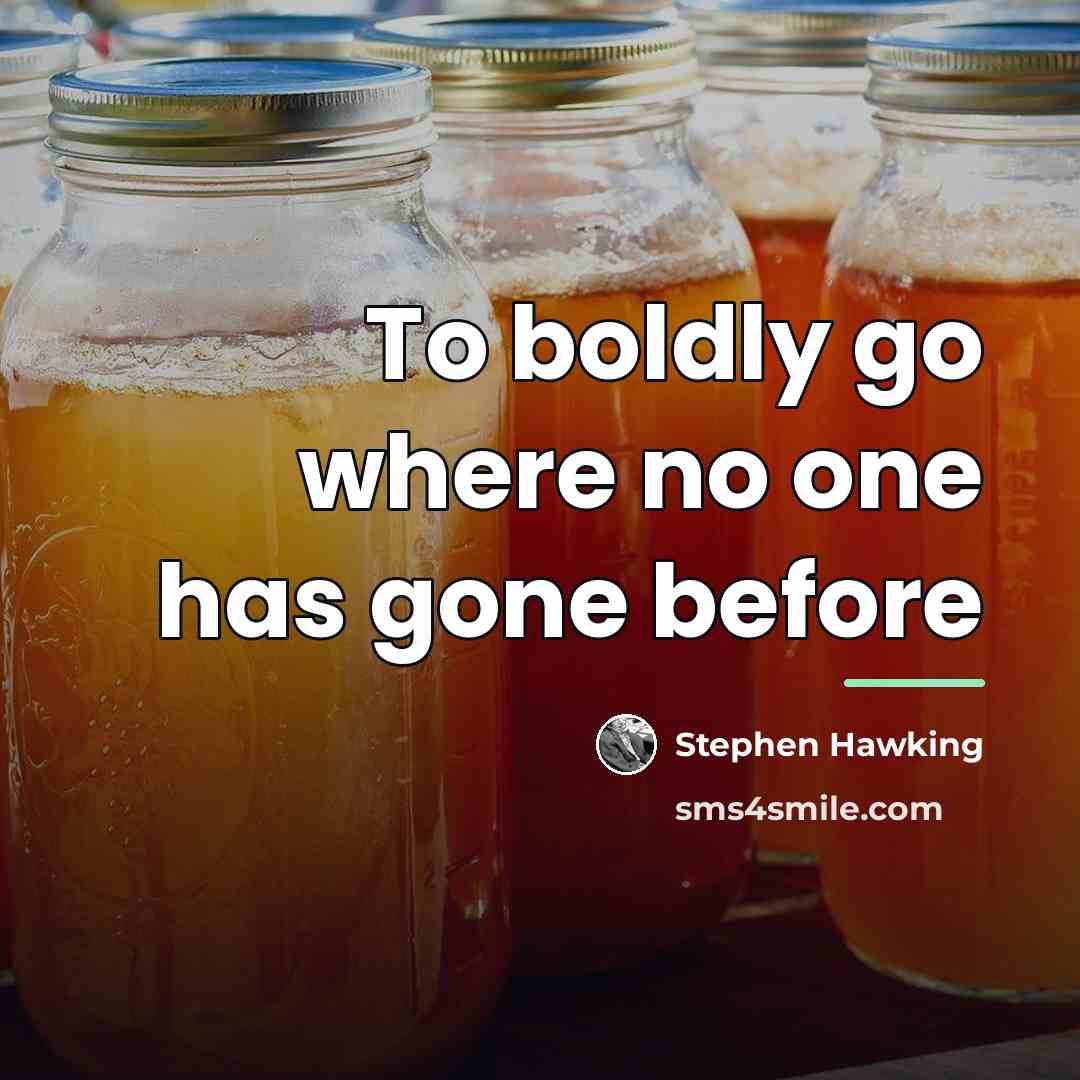 “To boldly go where no one has gone before…” quote by Stephen Hawking