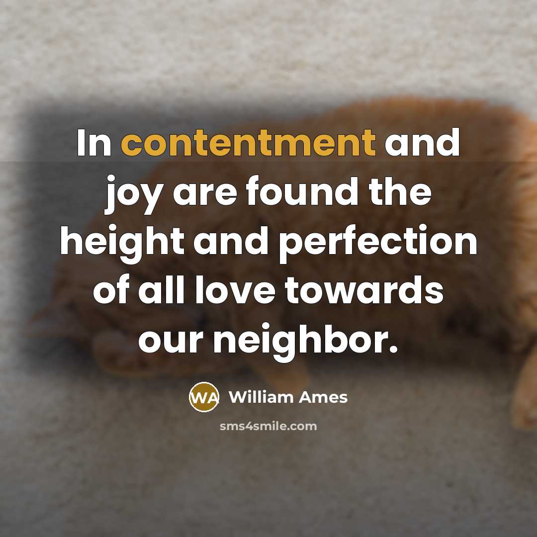 “In contentment and joy are found the height and perfection…” quote by William Ames
