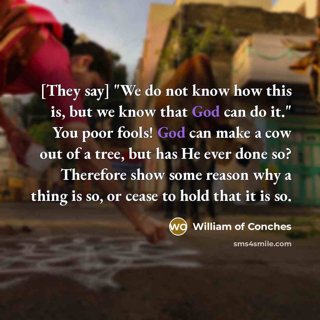 “[They say] "We do not know how this is, but…” quote by William of Conches