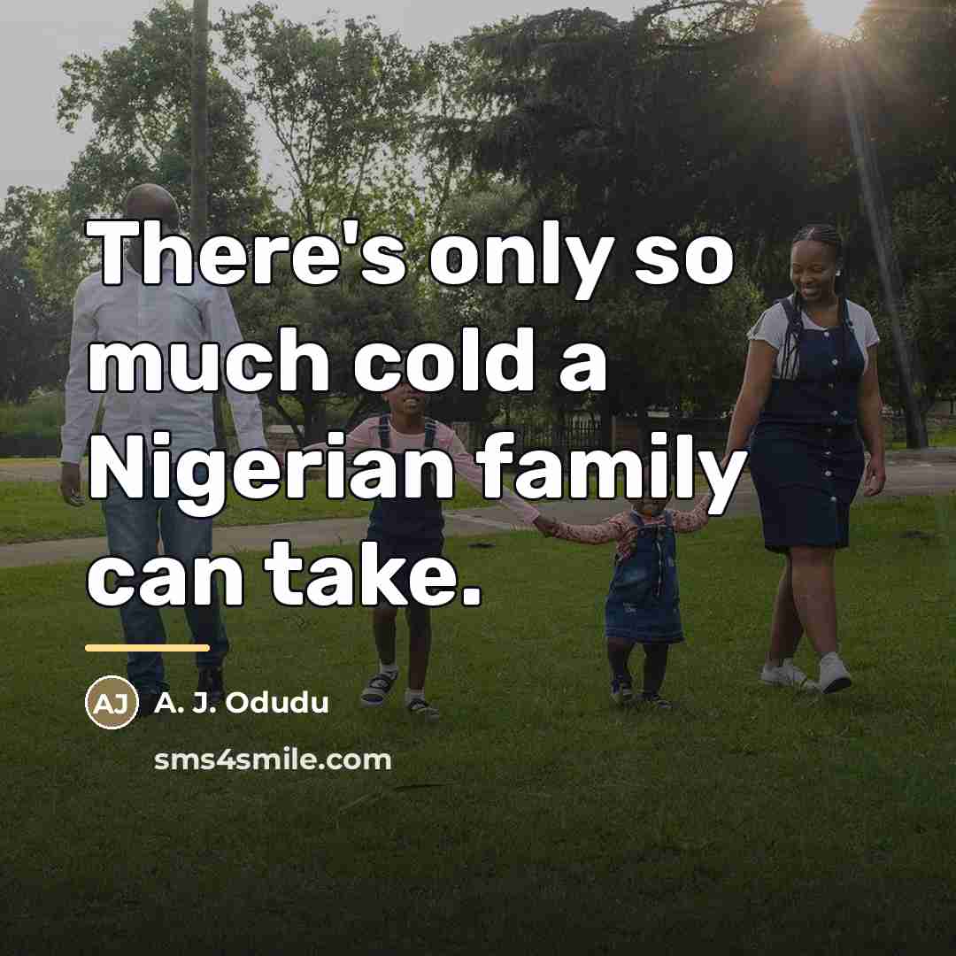 “There's only so much cold a Nigerian family can take.…” quote by A. J. Odudu