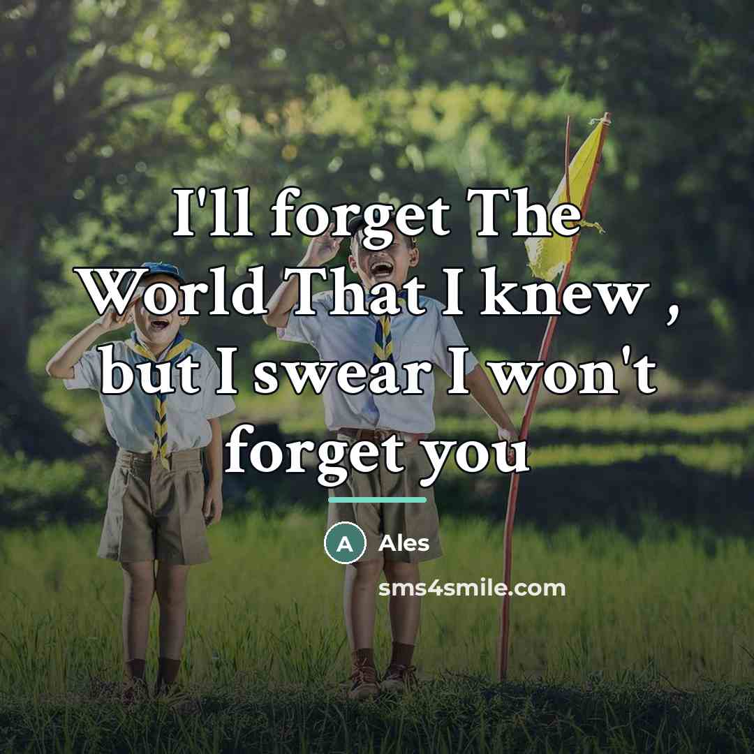 “I'll forget The World That I knew , but I…” quote by Ales